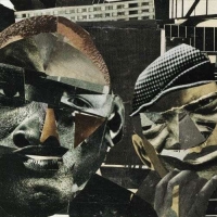 The Roots: And Then You Shoot Your Cousin - CD