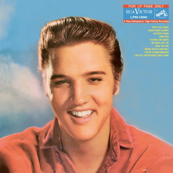 Elvis Presley: For LP Fans Only - Plak Foto #1