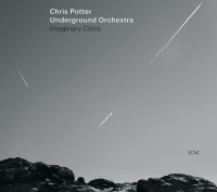 Chris Potter Underground Orchestra: Imaginary Cities (LP) - Plak