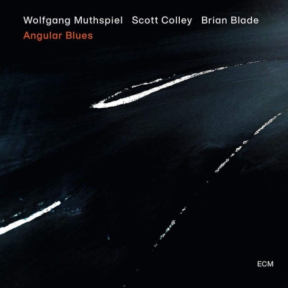 Wolfgang Muthspiel: Angular Blues - Plak Foto #1