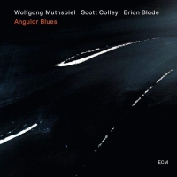 Wolfgang Muthspiel: Angular Blues - Plak