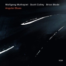 Wolfgang Muthspiel: Angular Blues - Plak Foto #1