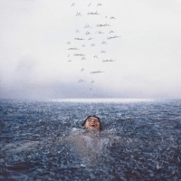 Shawn Mendes: Wonder - Plak