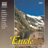 Night Music, Vol. 11 - CD