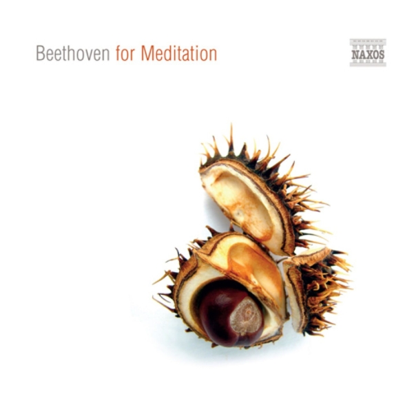 Çeşitli Sanatçılar: Beethoven for Meditation - CD Foto #1