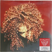 Janet Jackson: The Velvet Rope - Plak