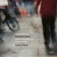 Gard Nilssen: Elastic Wave - Plak