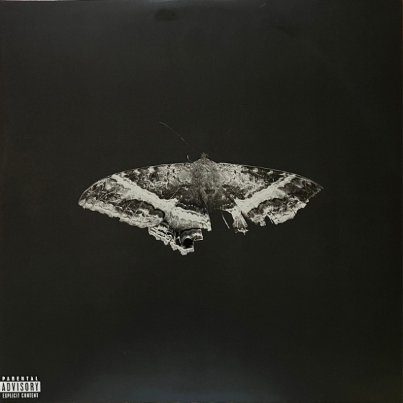 Kendrick Lamar: To Pimp A Butterfly - Plak Foto #2
