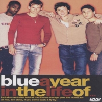 Blue: A Year In The Life Of... - DVD