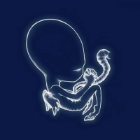 Sigur Rós: Agaetis Byrjun - Plak