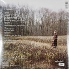 Taylor Swift: Evermore (Coloured Vinyl) - Plak Foto #2
