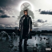 Juice WRLD: Fighting Demons - Plak