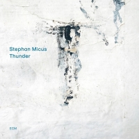 Stephan Micus: Thunder - Plak