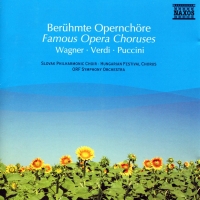 Çeşitli Sanatçılar: Famous Opera Choruses - CD