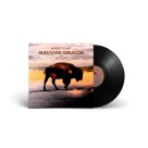 Robert Plant: Saving Grace (Black Vinyl) - Plak Foto #2