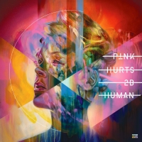 Pink: Hurts 2B Human - Plak