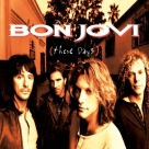 Bon Jovi: These Days (Remastered) - Plak Foto #1