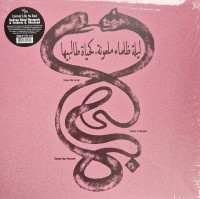 Radwan Ghazi Moumneh, Frédéric D. Oberland: Eternal Life No End - Plak