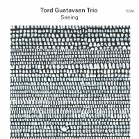 Tord Gustavsen Trio: Seeing - CD