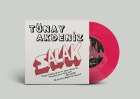 Tünay Akdeniz: Salak / Babam Yazdı Ben Besteledim İşte Aşkın Tarifi - Plak