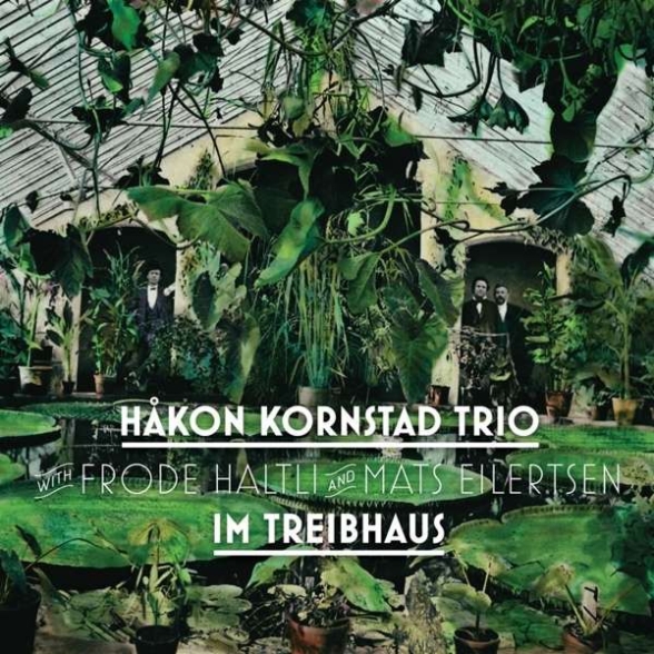 Håkon Kornstad: Im Treibhaus - Plak Foto #1