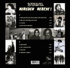 Hardal: Nereden Nereye (Renkli Plak) - Plak Foto #2