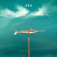 Özgür Yılmaz: Ora - Plak