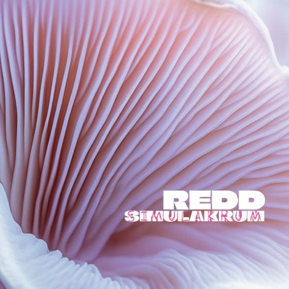 Redd: Simulakrum - Plak Foto #1