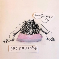 Spin Doctors: Face Full Of Cake - CD