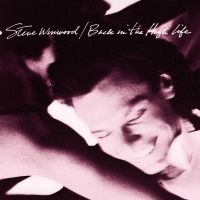 Steve Winwood: Back In The High Life - Plak