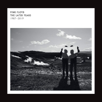 Pink Floyd: The Later Years 1987 - 2019 - Plak