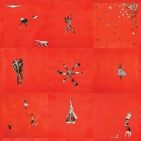 Animal Collective: Hollinndagain - Plak