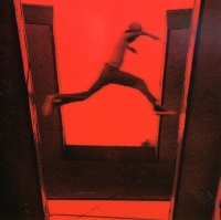 Mos Def: The Ecstatic - CD