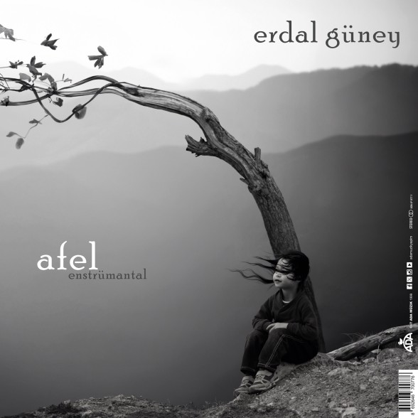 Erdal Güney: Perihel-Afel - Plak Foto #2