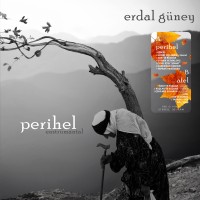 Erdal Güney: Perihel-Afel - Plak