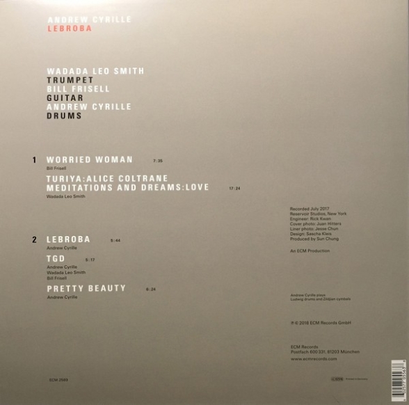 Andrew Cyrille, Wadada Leo Smith, Bill Frisell: Lebroba - Plak Foto #2