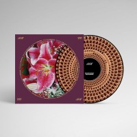 Richard Hawley: Coles Corner ((Limited Edition - Zoetrope Picture Disc) - Plak
