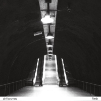 Ah! Kosmos: Flesh - Single Plak