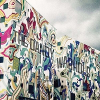 Dandy Warhols: Why You So Crazy - CD