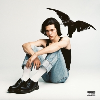 Conan Gray: Kid Krow - CD