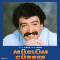 Müslüm Gürses: Dağlarda Kar Olsaydım - Plak