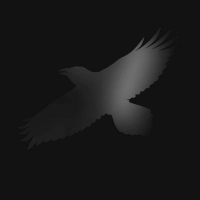 Sigur Rós: Odin's Raven Magic - Plak