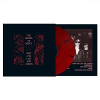 The Sisters Of Mercy: First And Last And Always - Plak