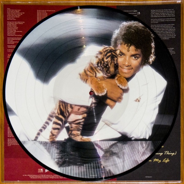 Michael Jackson: Thriller (Picture Disc) - Plak Foto #2
