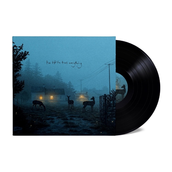 Dermot Kennedy: I've Told The Trees Everything - Plak Foto #2