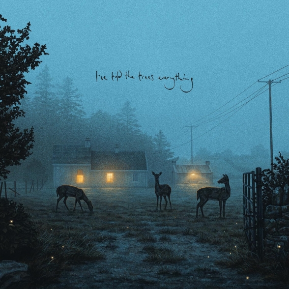 Dermot Kennedy: I've Told The Trees Everything - Plak Foto #1