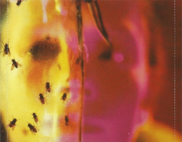 Alice In Chains: Jar Of Flies - CD Foto #3