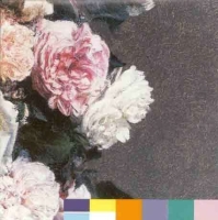 New Order: Power, Corruption & Lies - Plak