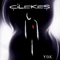 Çilekeş: Y.O.K. - Plak