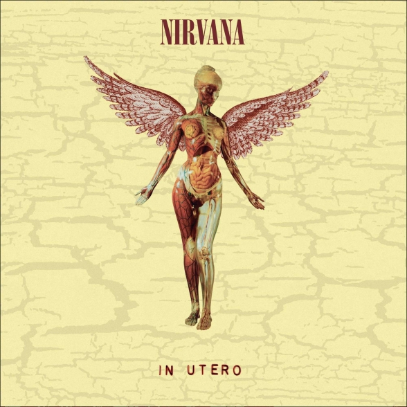 アート・デザイン・音楽 NIRVANA 30TH ANNIVERSARY EDITION Nirvana: In Utero (30th Anniversary Deluxe Edition) - CD | Opus3a
